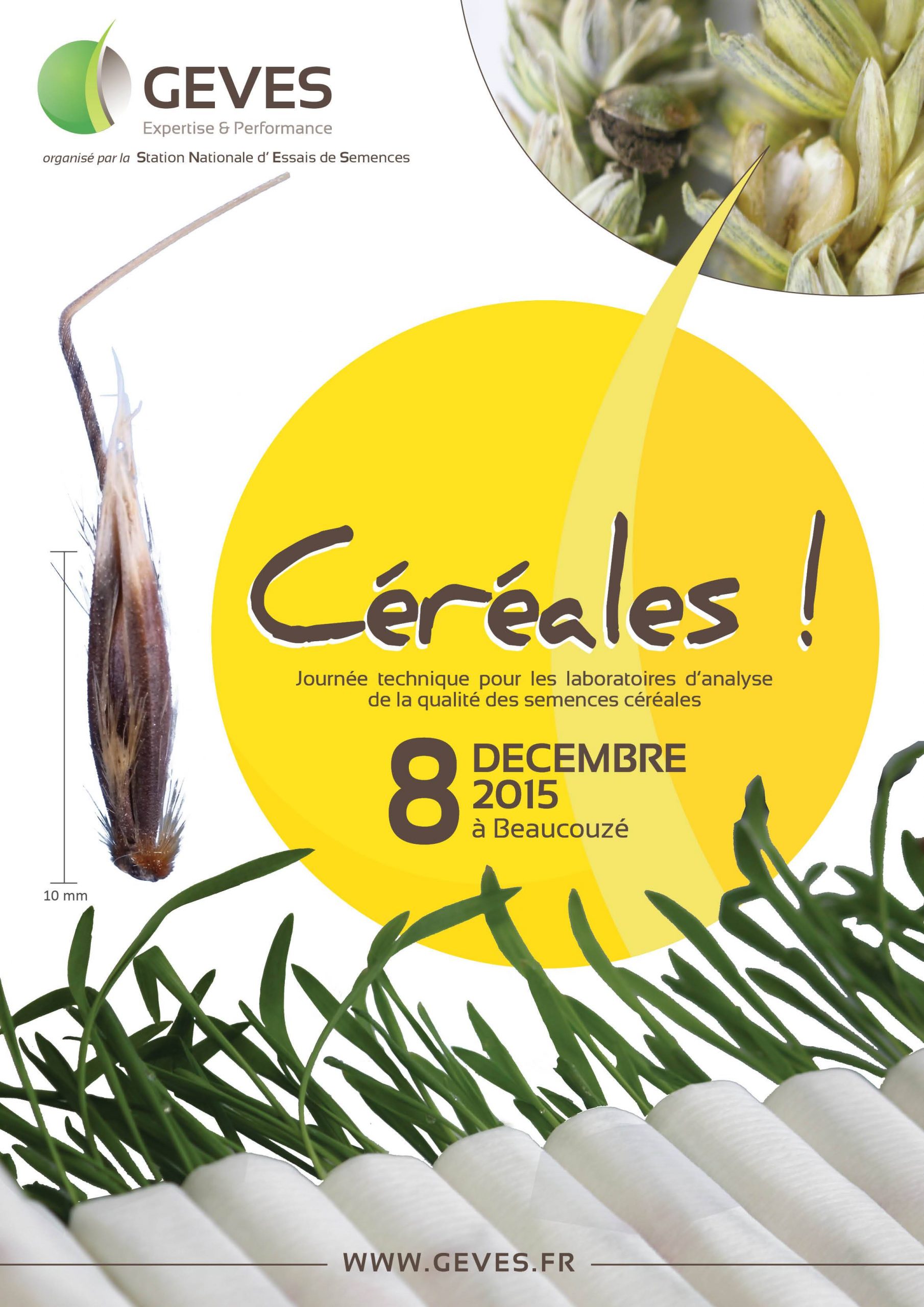 1Cereales