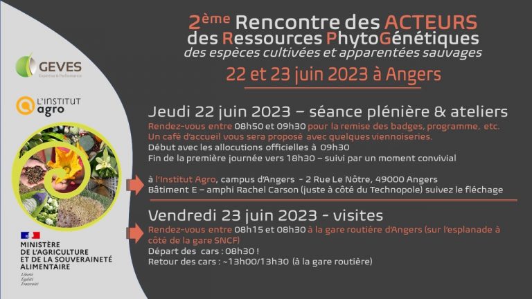 Semences : foire aux questions  Ministère de l'Agriculture et de la  Souveraineté alimentaire