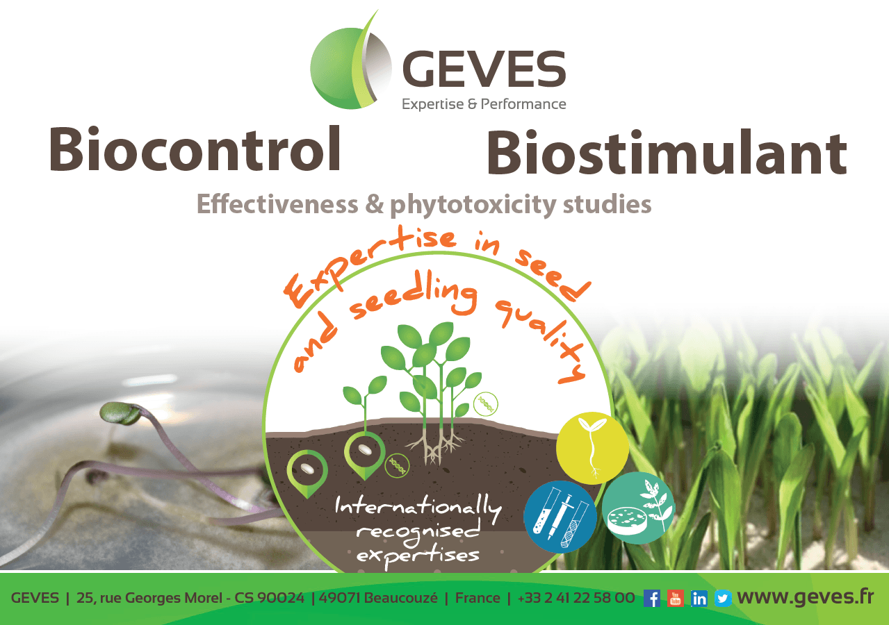 Biocontrol & Biostimulant Effectiveness & Phytotoxicity Studies