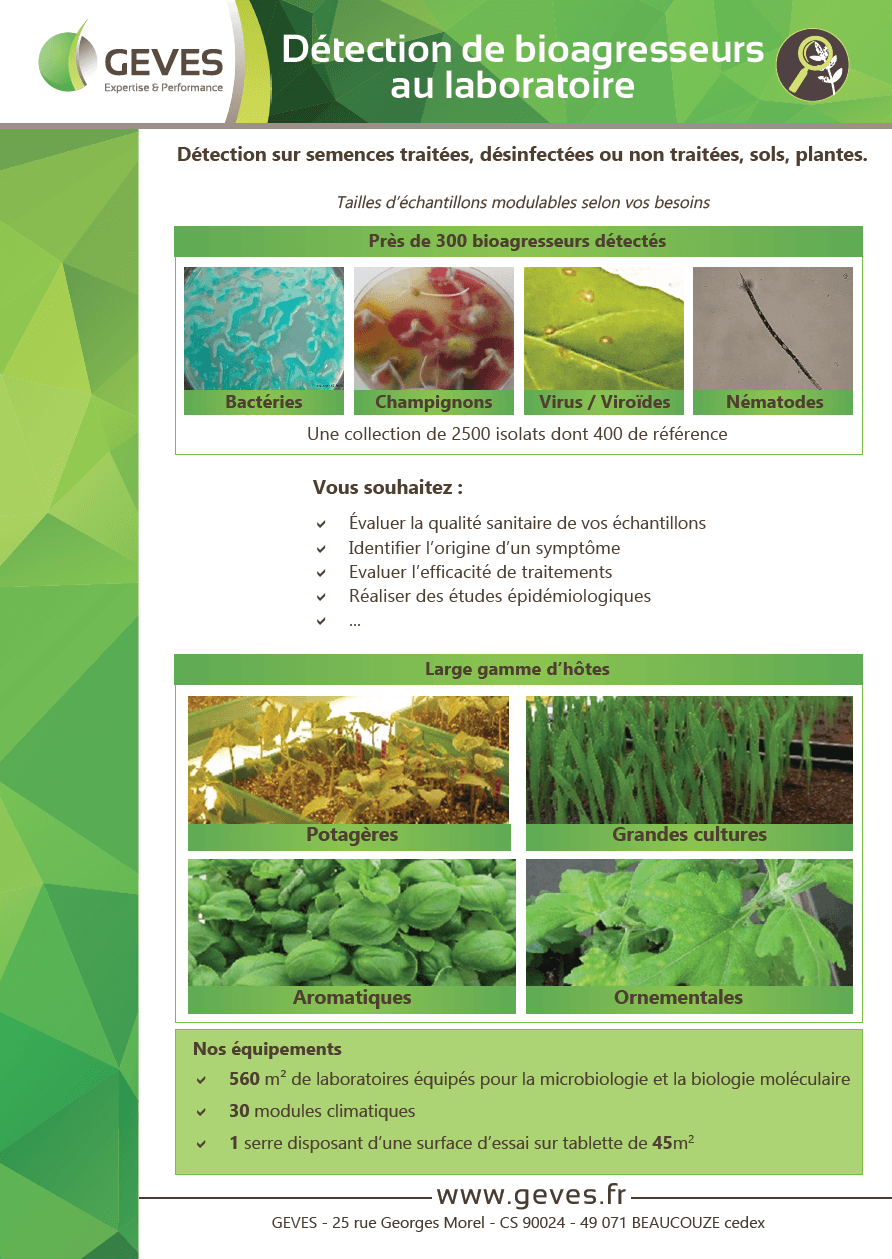 Detection of pests and pathogens