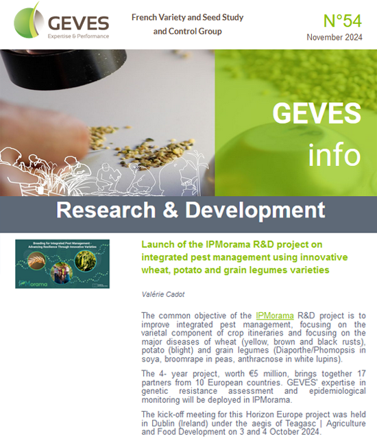 Newsletter N°54