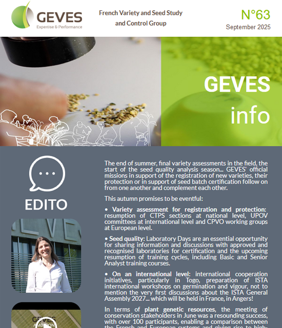 Newsletter N°63