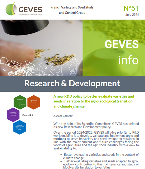 Newsletter N°51