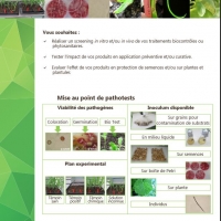 Evaluation d’efficacité des traitements au laboratoire