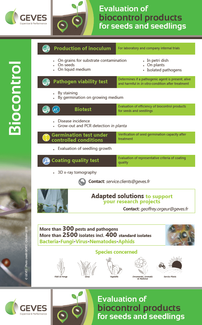 Evaluation of biocontrol products for seeds and seedlings