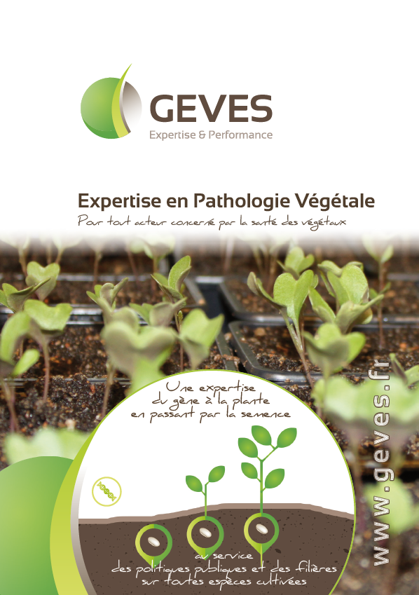 Expertise en pathologie végétale