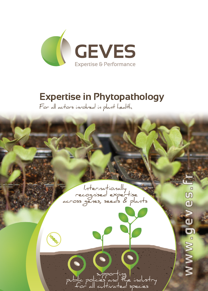 Expertise in Phytohathology