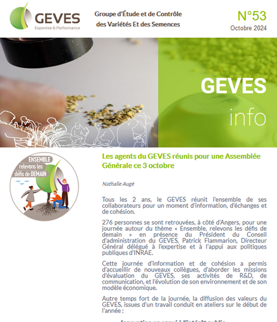 Newsletter N°53