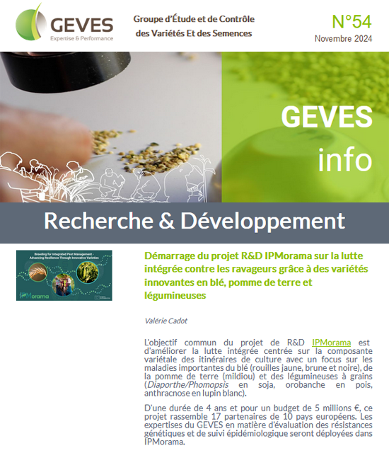 Newsletter N°54