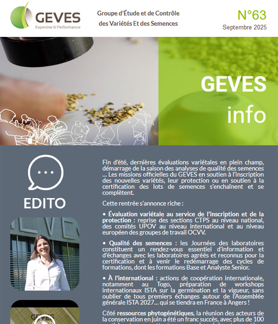 Newsletter N°63