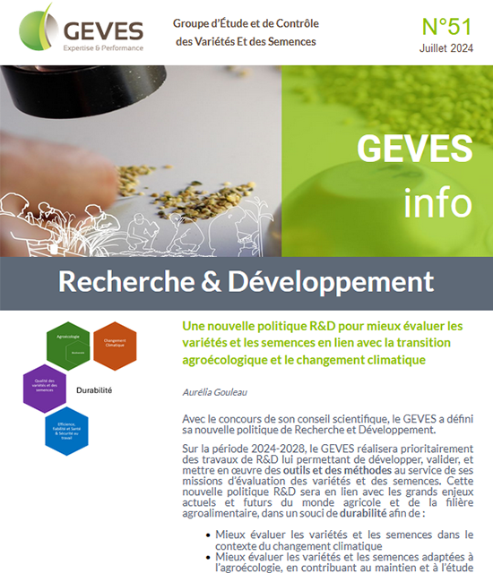 Newsletter N°51