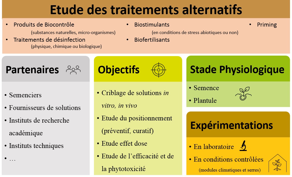 Semences et agrobiodiversité : pour une lecture ontologique des bio-communs  locaux