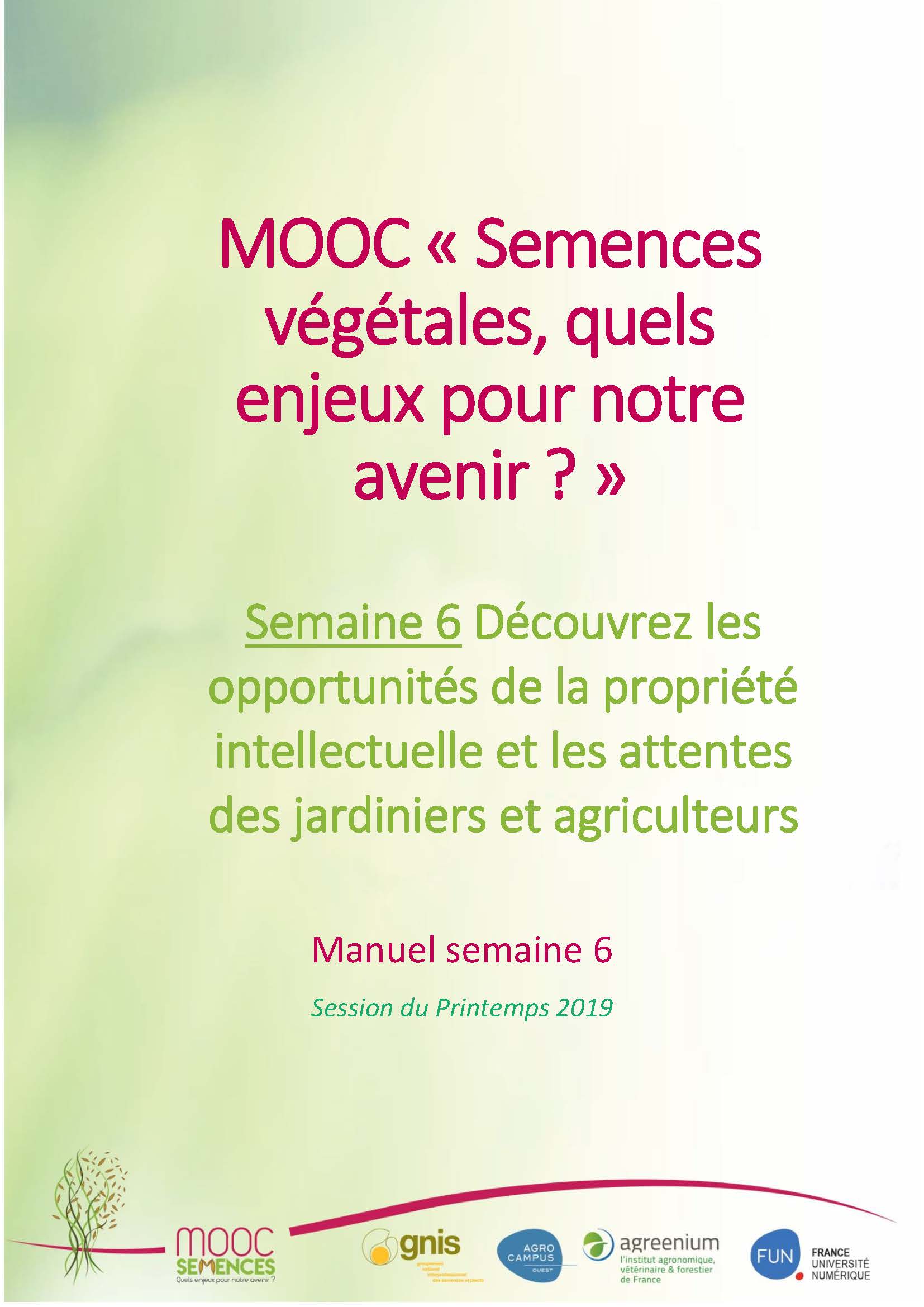 semaine 6