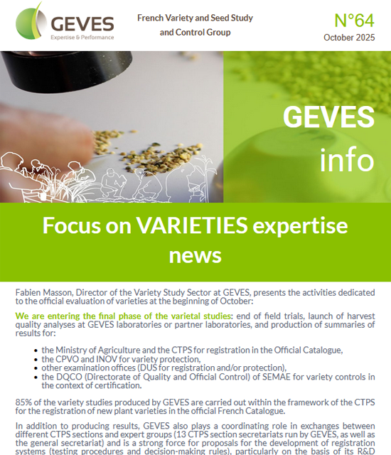 Newsletter N°64