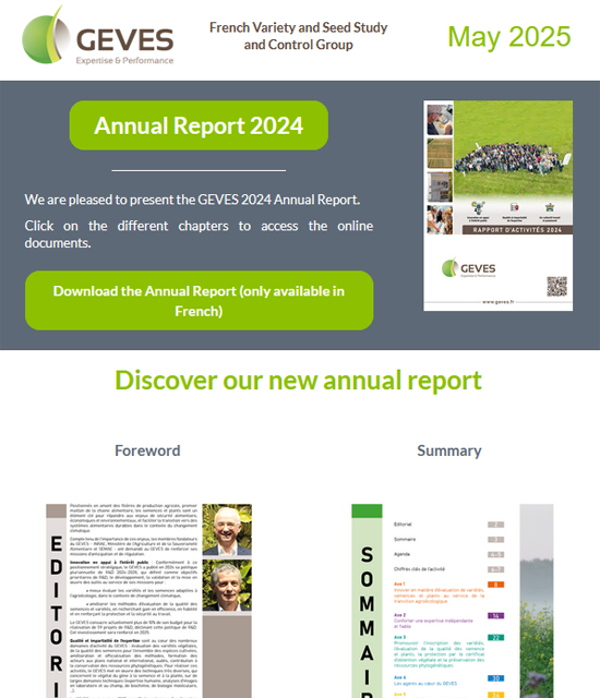 Newsletter N°60