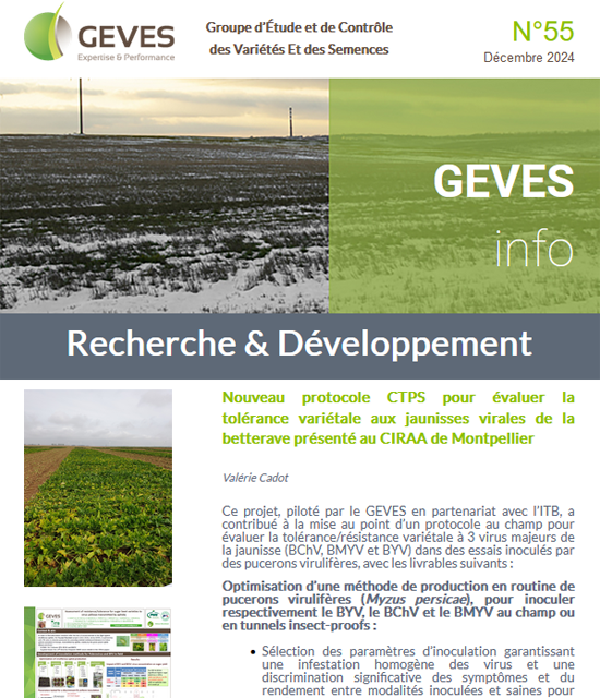 Newsletter N°55