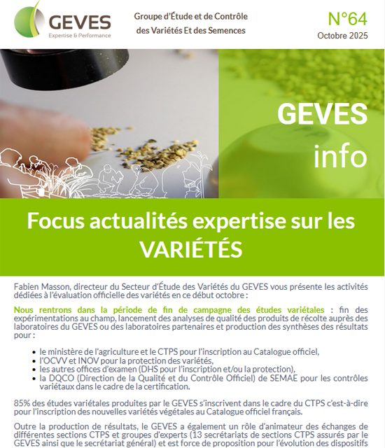 Newsletter N°64