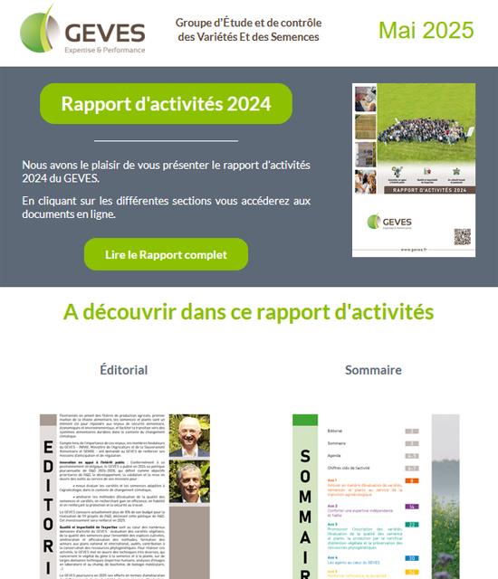 Newsletter N°60