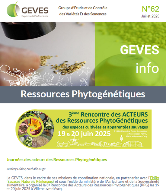 Newsletter N°62