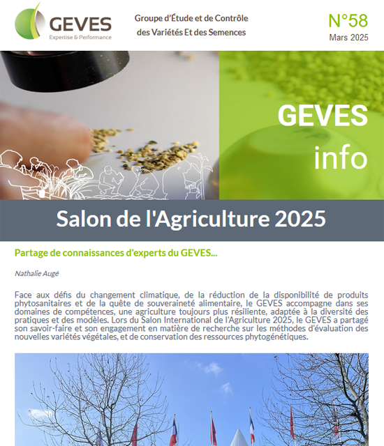 Newsletter N°58