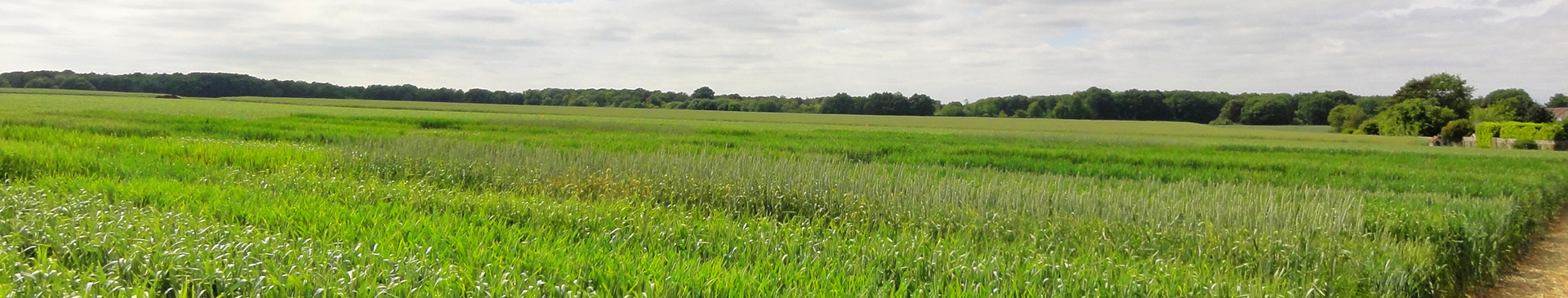 L'Agriculture Biologique et le CTPS