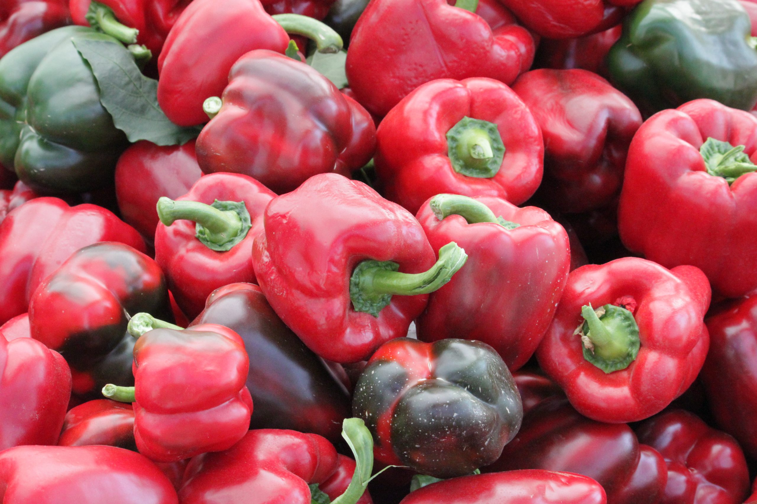 Piment