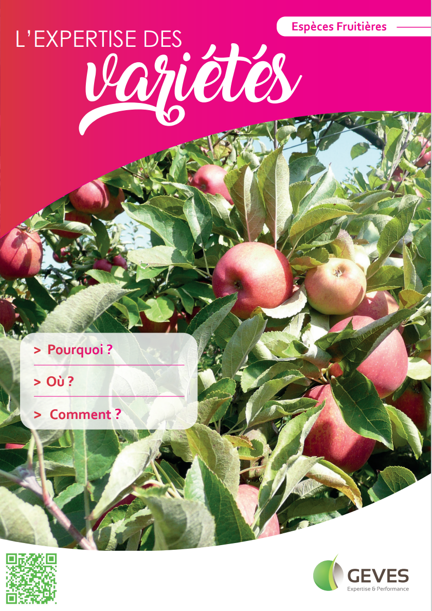 Espèces fruitières