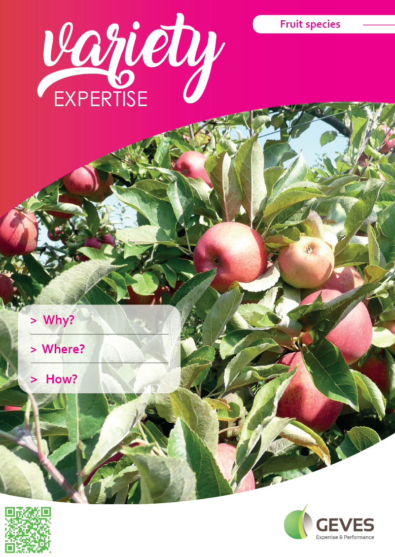 Fruit Species