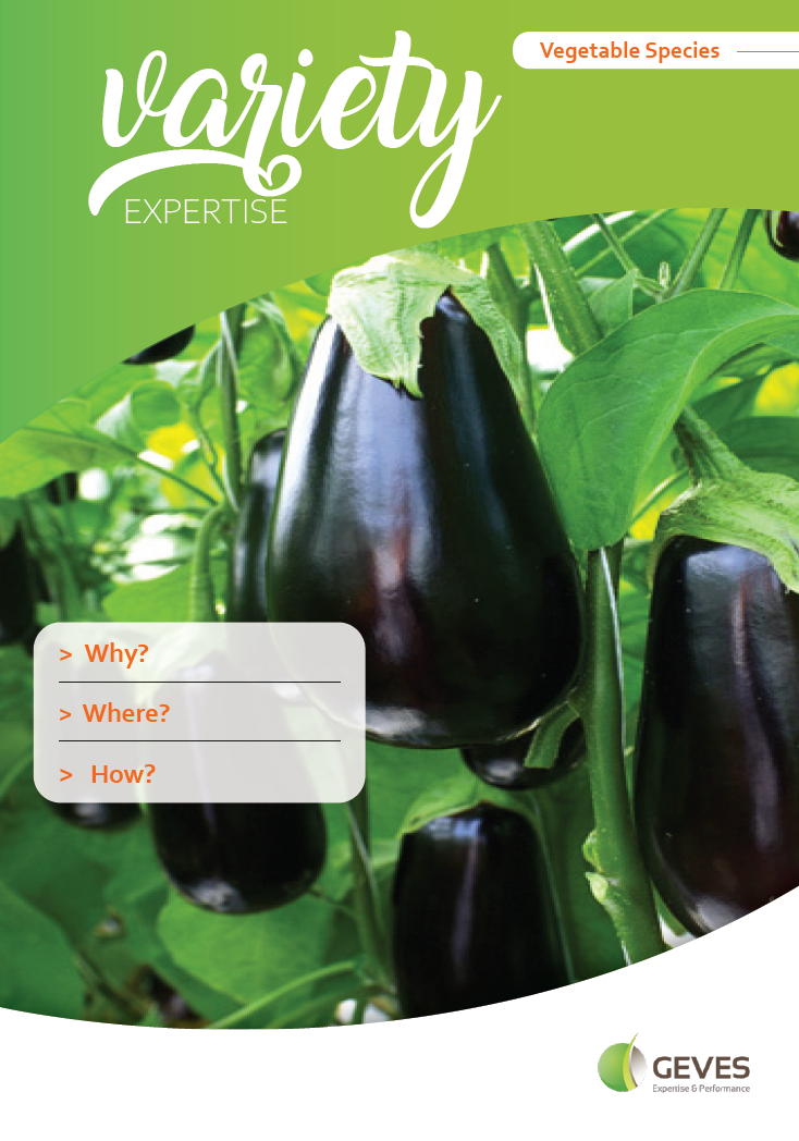 Vegetable Species