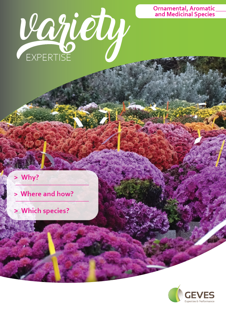 Ornamental, Aromatic and Medicinal Species
