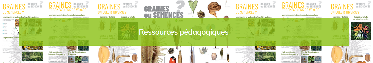 Ressources pédagogiques