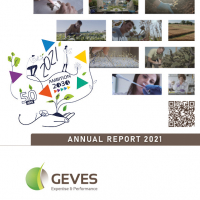Rapport2021OKENGLISH-Page1