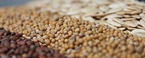 Seed Marketing Regulations
