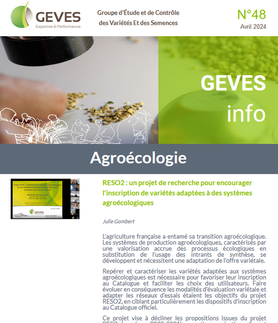 Newsletter N°48