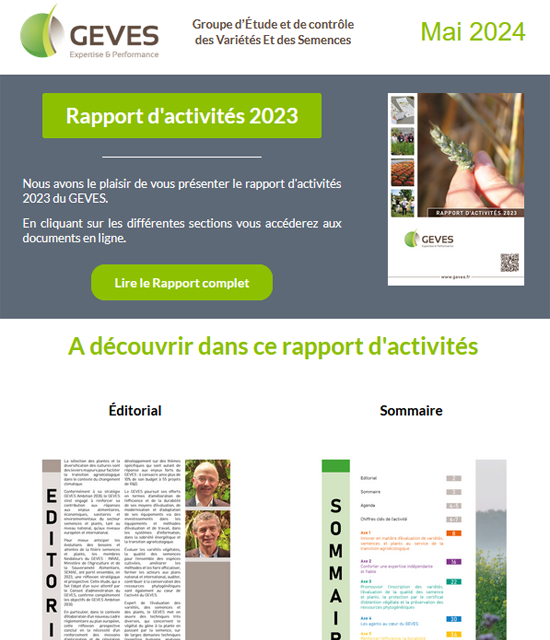 Rapport d'activités 2023