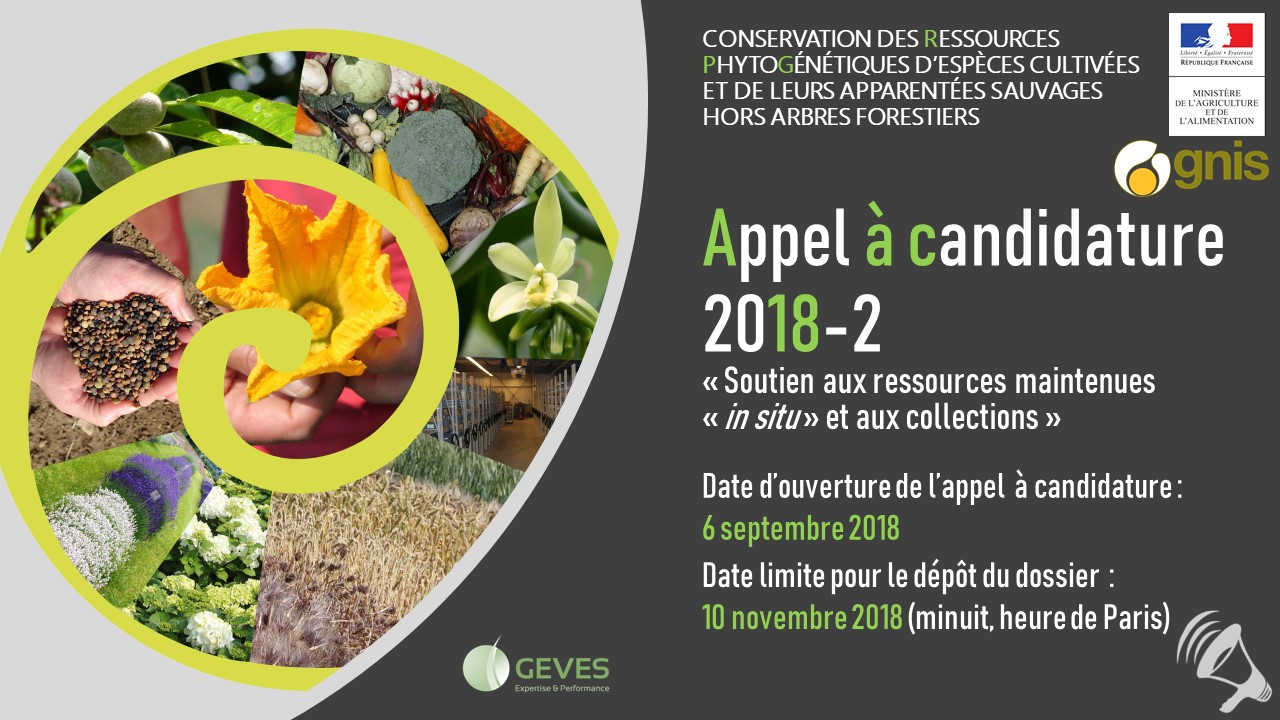 Appel à candidatures 2018-2