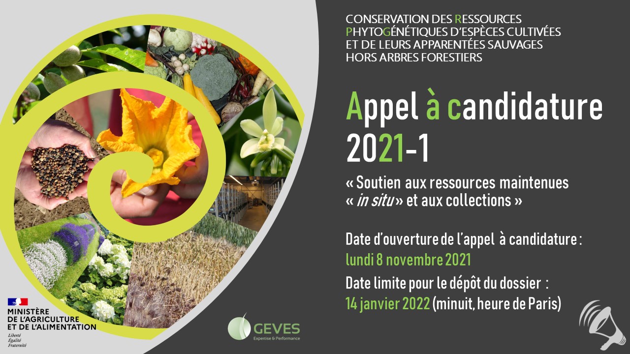 Appel à candidatures 2021-1