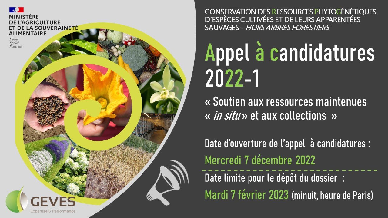 Appel à candidatures 2022-1