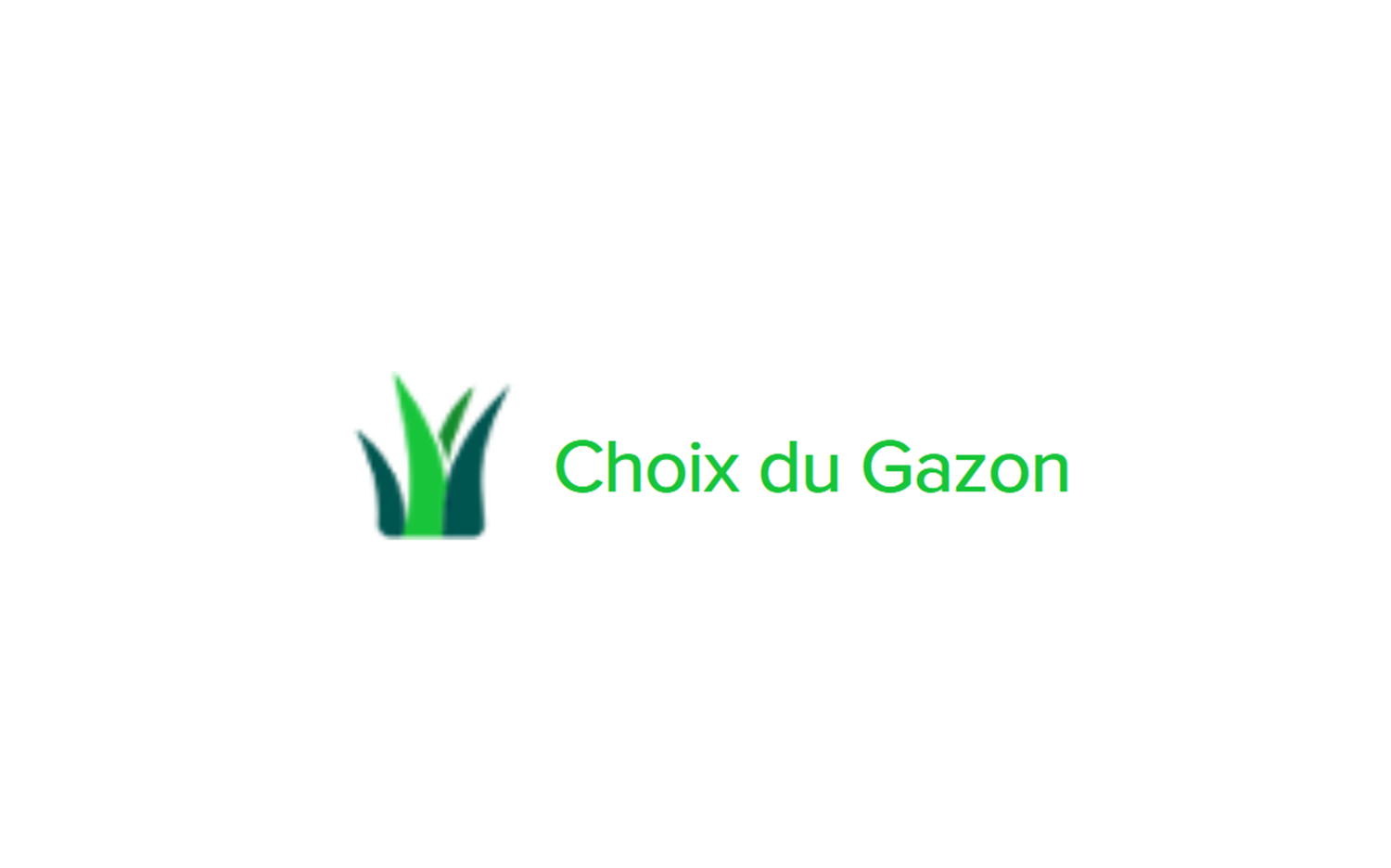 ChoixDuGazon