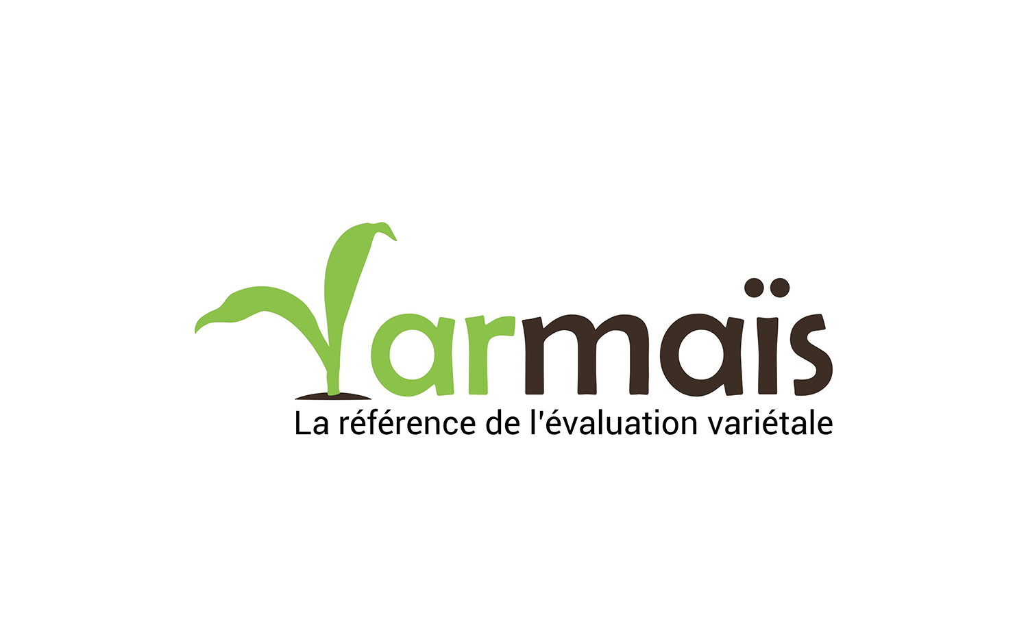 Varmaïs