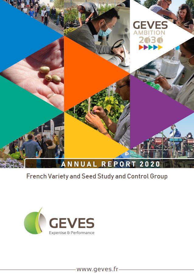 annual report 2020