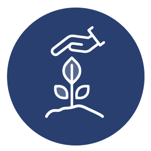 <a href="/catalogue-protection/">Protéger une variété</a>