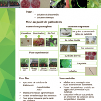 Efficacite de traitements en pathologie